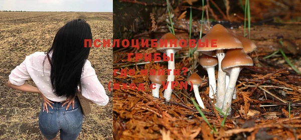 мескалин Алзамай