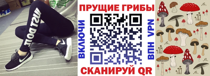 купить наркотики сайты  Волоколамск  Псилоцибиновые грибы прущие грибы 